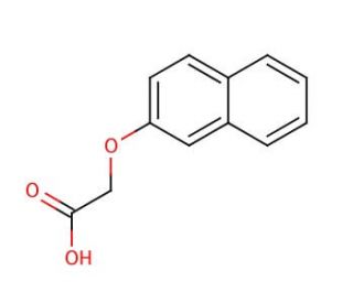 2-Naphthoxyacetic acid (CAS 120-23-0) - chemical structure image