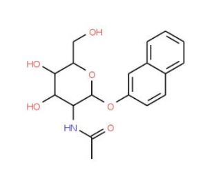 2-Naphthyl 2-acetamido-2-deoxy-b-D-glucopyranoside (CAS 131531-82-3) - chemical structure image