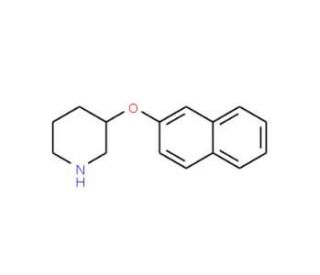 2-Naphthyl 3-piperidinyl ether (CAS 946726-09-6) - chemical structure image