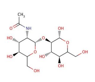 2-O-(2-Acetamido-2-deoxy-&beta;-D-glucopyranosyl)-D-mannose (CAS 34621-73-3) - chemical structure image