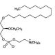 2-O-ethyl PAF C-16 (CAS 78858-42-1) - chemical structure image