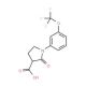 2-oxo-1-[3-(trifluoromethoxy)phenyl]pyrrolidine-3-carboxylic acid - chemical structure image