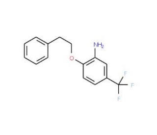 2-(Phenethyloxy)-5-(trifluoromethyl)aniline - chemical structure image