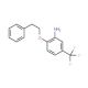 2-(Phenethyloxy)-5-(trifluoromethyl)aniline - chemical structure image