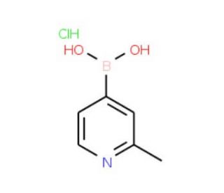 2-Picoline-4-boronic acid hydrochloride (CAS 861905-97-7) - chemical structure image