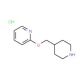 2-(Piperidin-4-ylmethoxy)-pyridine hydrochloride - chemical structure image