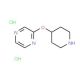 2-(Piperidin-4-yloxy)pyrazine dihydrochloride - chemical structure image