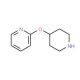 2-(Piperidin-4-yloxy)-pyridine (CAS 313490-36-7) - chemical structure image