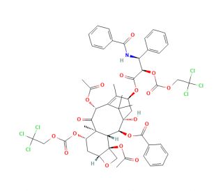 2&prime;,7-Bis-O-{[(2,2,2,-Trichloroethyl)oxy]carbonyl Paclitaxel (CAS 100449-86-3) - chemical structure image