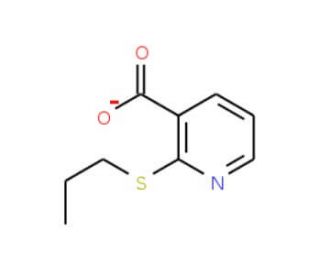2-(Prop-1-ylsulphanyl)pyridine-3-carboxylic acid (CAS 175135-22-5) - chemical structure image