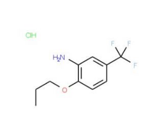 2-propoxy-5-(trifluoromethyl)aniline hydrochloride - chemical structure image