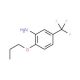 2-Propoxy-5-(trifluoromethyl)phenylamine - chemical structure image