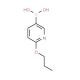 2-Propoxypyridine-5-boronic acid (CAS 1150114-50-3) - chemical structure image