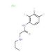 2-(propylamino)-N-(2,3,4-trifluorophenyl)acetamide hydrochloride - chemical structure image
