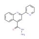 2-Pyridin-2-yl-quinoline-4-carboxylic acid hydrazide (CAS 5109-96-6) - chemical structure image