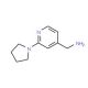 (2-pyrrolidin-1-ylpyridin-4-yl)methylamine (CAS 876316-38-0) - chemical structure image