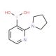 2-(Pyrrolidin-1-yl)pyridine-3-boronic acid (CAS 1257648-75-1) - chemical structure image