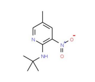 2-t-Butylamino-5-methyl-3-nitropyridine (CAS 1033202-70-8) - chemical structure image