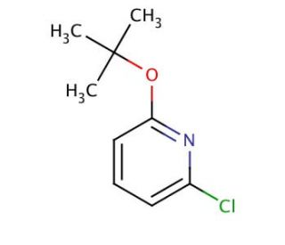 2-tert-Butoxy-6-chloropyridine (CAS 547740-43-2) - chemical structure image