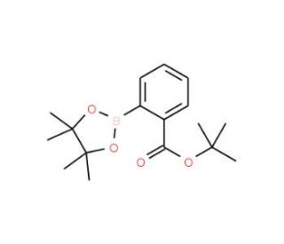 2-(tert-Butoxycarbonyl)phenylboronic acid pinacol ester (CAS 956229-69-9) - chemical structure image