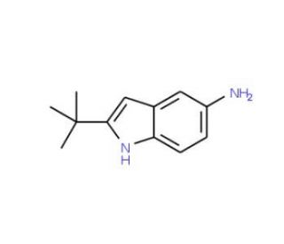 2-tert-Butyl-1H-indol-5-amine (CAS 194242-23-4) - chemical structure image