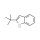 2-(tert-Butyl)-1H-indole (CAS 1805-65-8) - chemical structure image