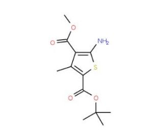2-tert-butyl 4-methyl 5-amino-3-methylthiophene-2,4-dicarboxylate - chemical structure image