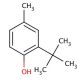 2-tert-Butyl-4-methylphenol (CAS 2409-55-4) - chemical structure image