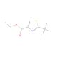 2-tert-Butyl-4-thiazolecarboxylic Acid Ethyl Ester (CAS 1197010-34-6) - chemical structure image