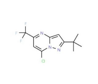 2-tert-Butyl-7-chloro-5-(trifluoromethyl)pyrazolo[1,5-a]pyrimidine (CAS 175203-38-0) - chemical structure image