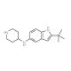 2-tert-Butyl-N-piperidin-4-yl-1H-indol-5-amine (CAS 397842-07-8) - chemical structure image