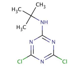 2-(tert-Butylamino)-4,6-dichloro-1,3,5-triazine (CAS 27282-85-5) - chemical structure image