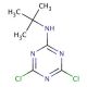 2-(tert-Butylamino)-4,6-dichloro-1,3,5-triazine (CAS 27282-85-5) - chemical structure image