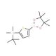 2-(tert-Butyldimethylsilyl)thiophene-5-boronic acid pinacol ester (CAS 1073371-74-0) - chemical structure image