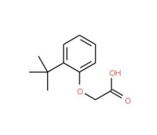 (2-tert-butylphenoxy)acetic acid (CAS 19271-90-0) - chemical structure image
