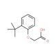 (2-tert-butylphenoxy)acetic acid (CAS 19271-90-0) - chemical structure image