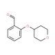Struttura molecolare di 2-(Tetrahydro-2H-pyran-4-yloxy)benzaldehyde, Numero CAS: 898289-31-1 2-(Tetrahydro-2H-pyran-4-yloxy)benzaldehyde (CAS 898289-31-1) - chemical structure image