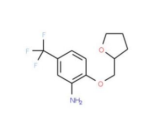 2-(Tetrahydro-furan-2-ylmethoxy)-5-trifluoromethyl-phenylamine - chemical structure image