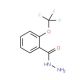 2-(Trifluoromethoxy)benzoic acid hydrazide (CAS 175277-19-7) - chemical structure image