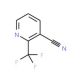 2-(Trifluoromethyl)pyridine-3-carbonitrile (CAS 870066-15-2) - chemical structure image