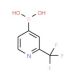 2-(Trifluoromethyl)pyridine-4-boronic acid (CAS 1093407-58-9) - chemical structure image