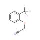 (2-Trifluoromethylphenoxy)acetonitrile (CAS 874804-01-0) - chemical structure image