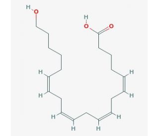 20-HETE (CAS 79551-86-3) - chemical structure image