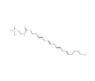 20-hydroxy N-Arachidonoyl Taurine - chemical structure image