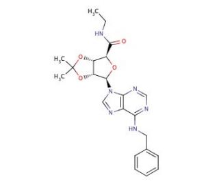2&prime;,3&prime;-Isopropylidene-N6-benzyl-5&prime;-ethylcarboxamidoadenosine - chemical structure image