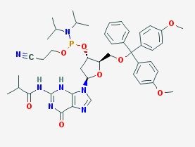 2 Deoxy 5 O Dmt N2 Isobutyrylguanosine 3 Ce Phosphoramidite Cas 931 15 4 Scbt Santa Cruz Biotechnology