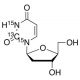 2′-Deoxy-L-uridine-13C,15N2 (CAS 31501-19-6 (unlabeled)) - chemical structure image