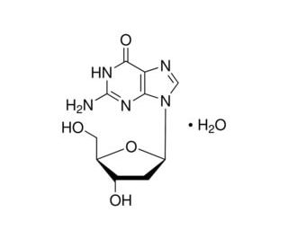 2′-Deoxyguanosine monohydrate | CAS 312693-72-4 | SCBT