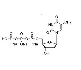 2&prime;-Deoxythymidine-5&prime;-triphosphate trisodium salt (CAS 18423-43-3 (non-salt) ) - chemical structure image