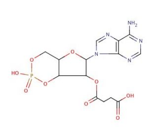 2&prime;-O-Monosuccinyladenosine 3&prime;:5&prime;-cyclic monophosphate (CAS 36940-87-1) - chemical structure image